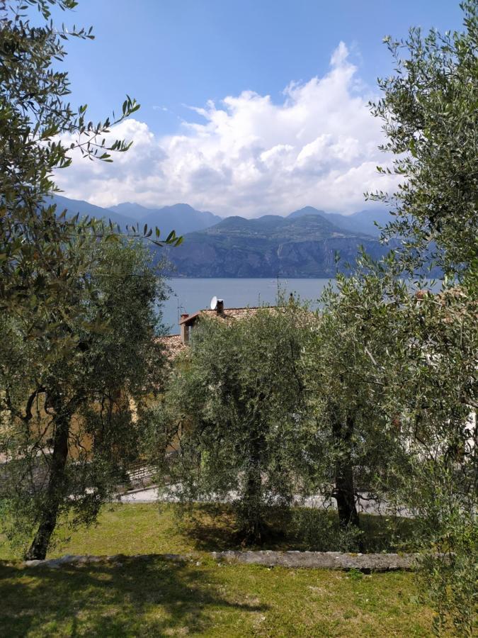Villa Antopolis 马尔切西内 外观 照片